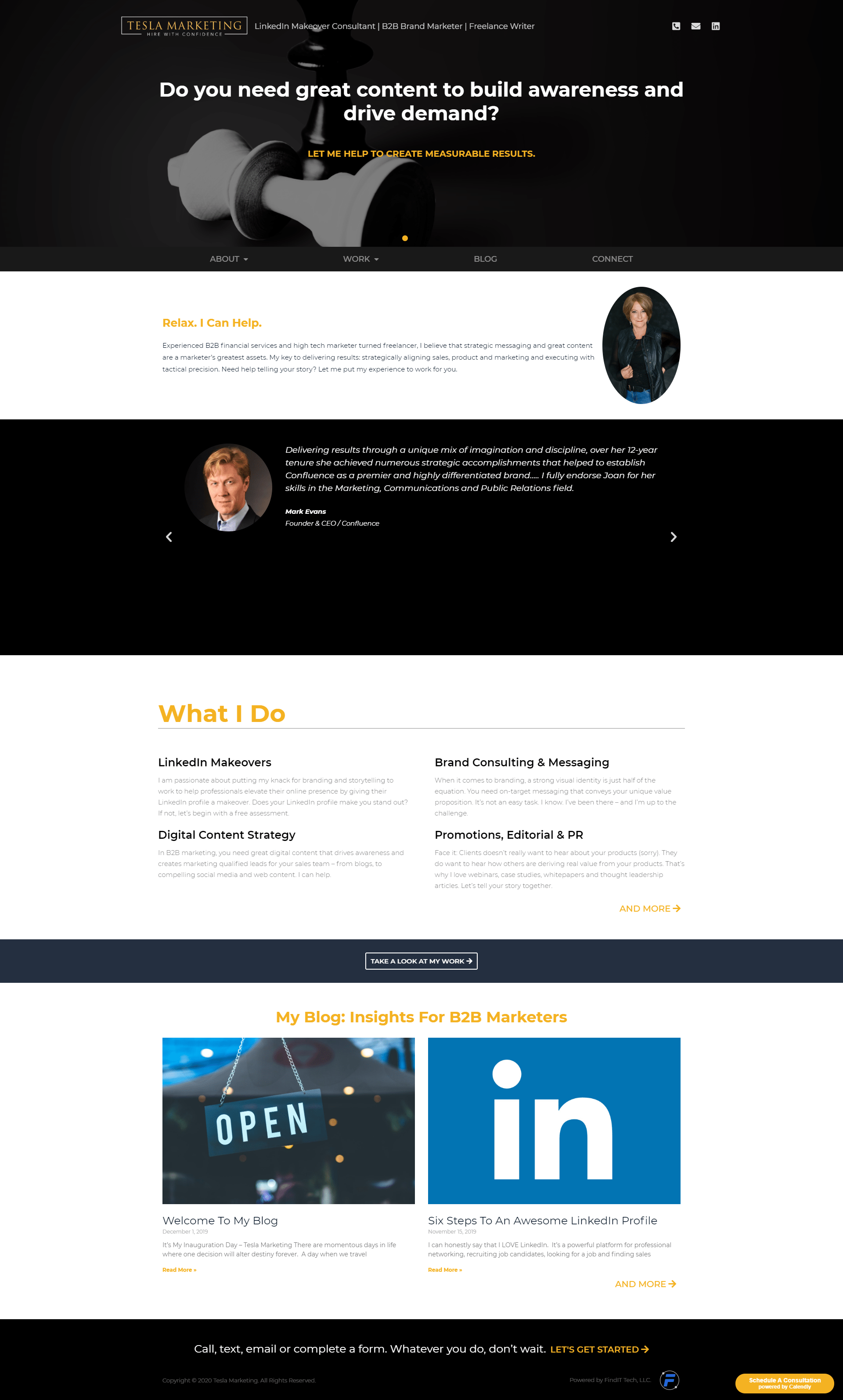 Tesla Marketing Website